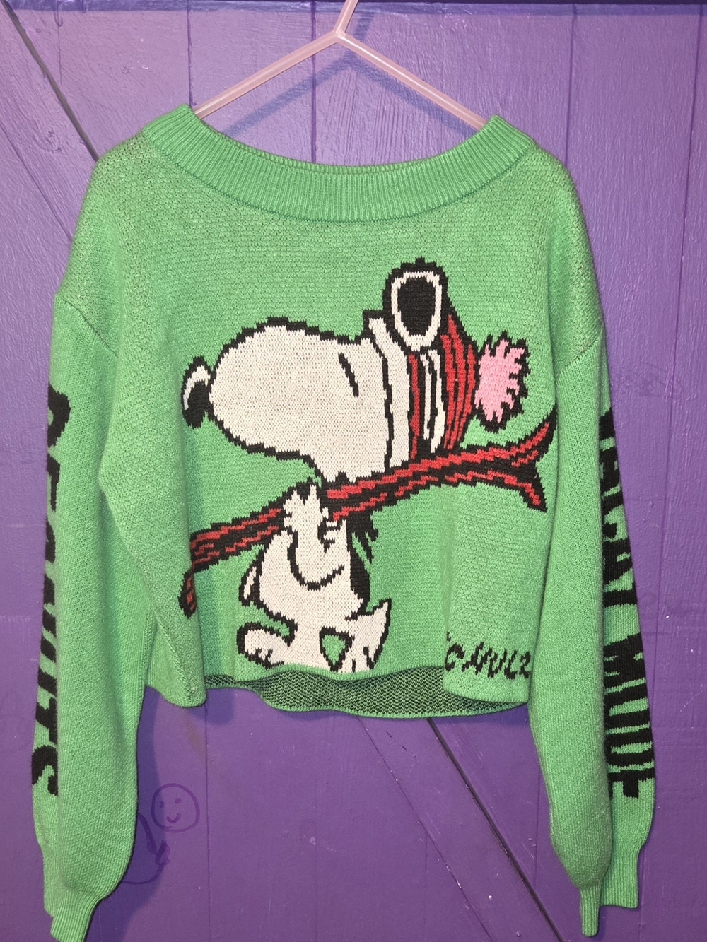 H&M Green Snoopy Knit Cropped Sweater